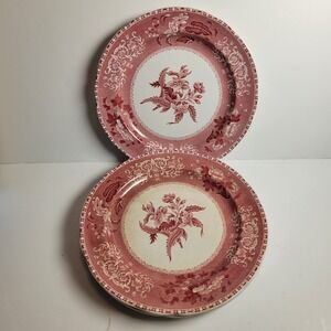 Spode's Camilla Copeland England 1940 Pink Dinner Plates Set of 4 VTG Old Mark